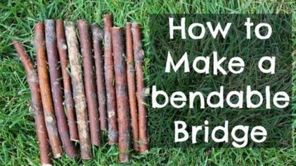 DIY Small animal Bendable Bridge