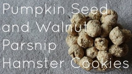 Pumpkin Seed and Walnut Parsnip Hamster cookies