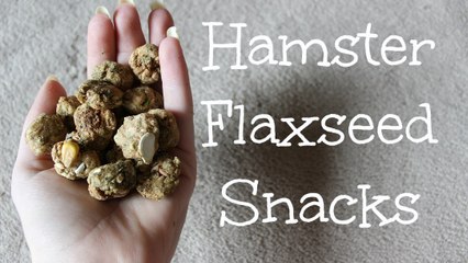 Hamster Flaxseed Snacks!