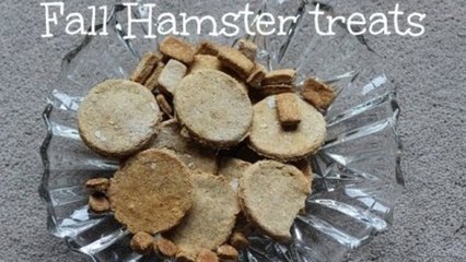 DIY FALL HAMSTER TREATS!