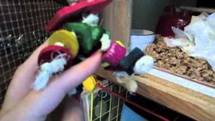 CAGE TOURS | July 2012