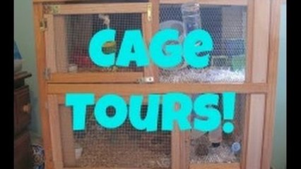 CAGE TOURS | September 2012