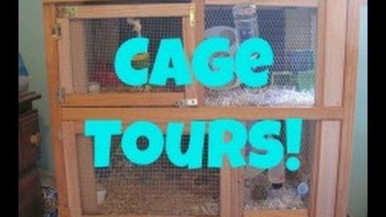 CAGE TOURS | September 2012