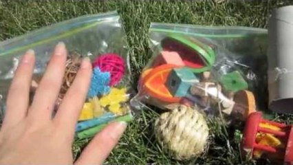 All of my Hamster Chews