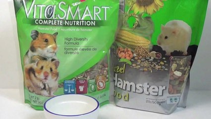 How to change your Hamsters food.