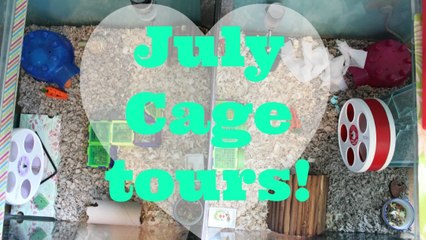 CAGE TOURS | July 2013