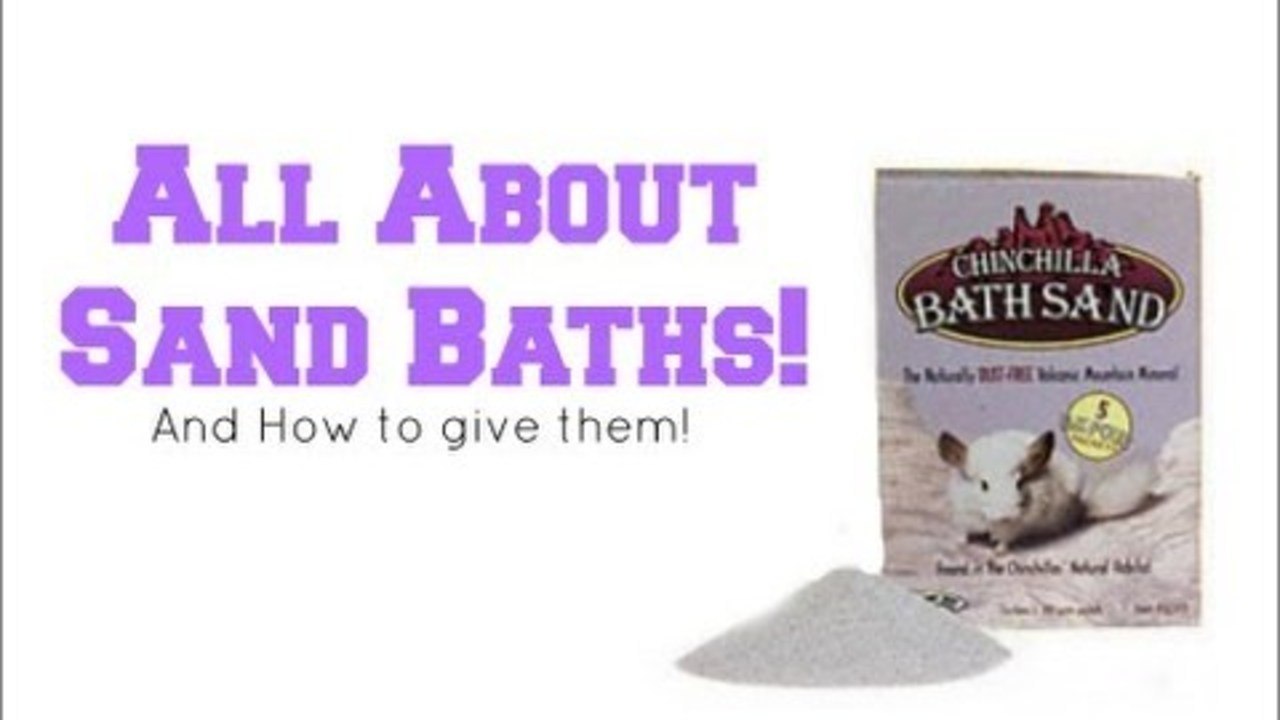 All About Sand Baths!