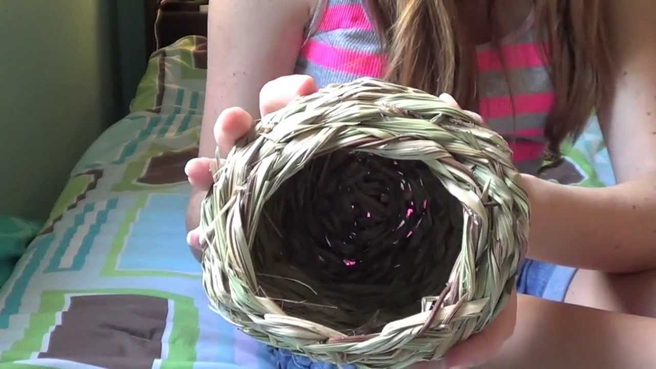 HAMSTER HAUL