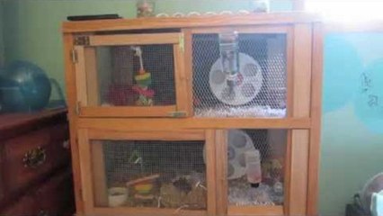Hamster Cages