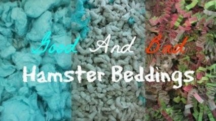 Good and Bad Hamster Beddings