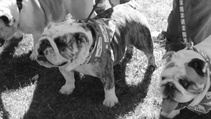 remember the times you could have pressed quit -