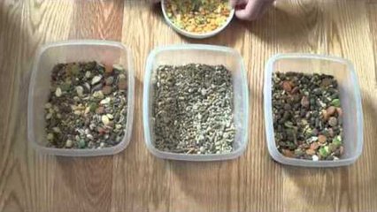 Updated How I make my Hamster's Food