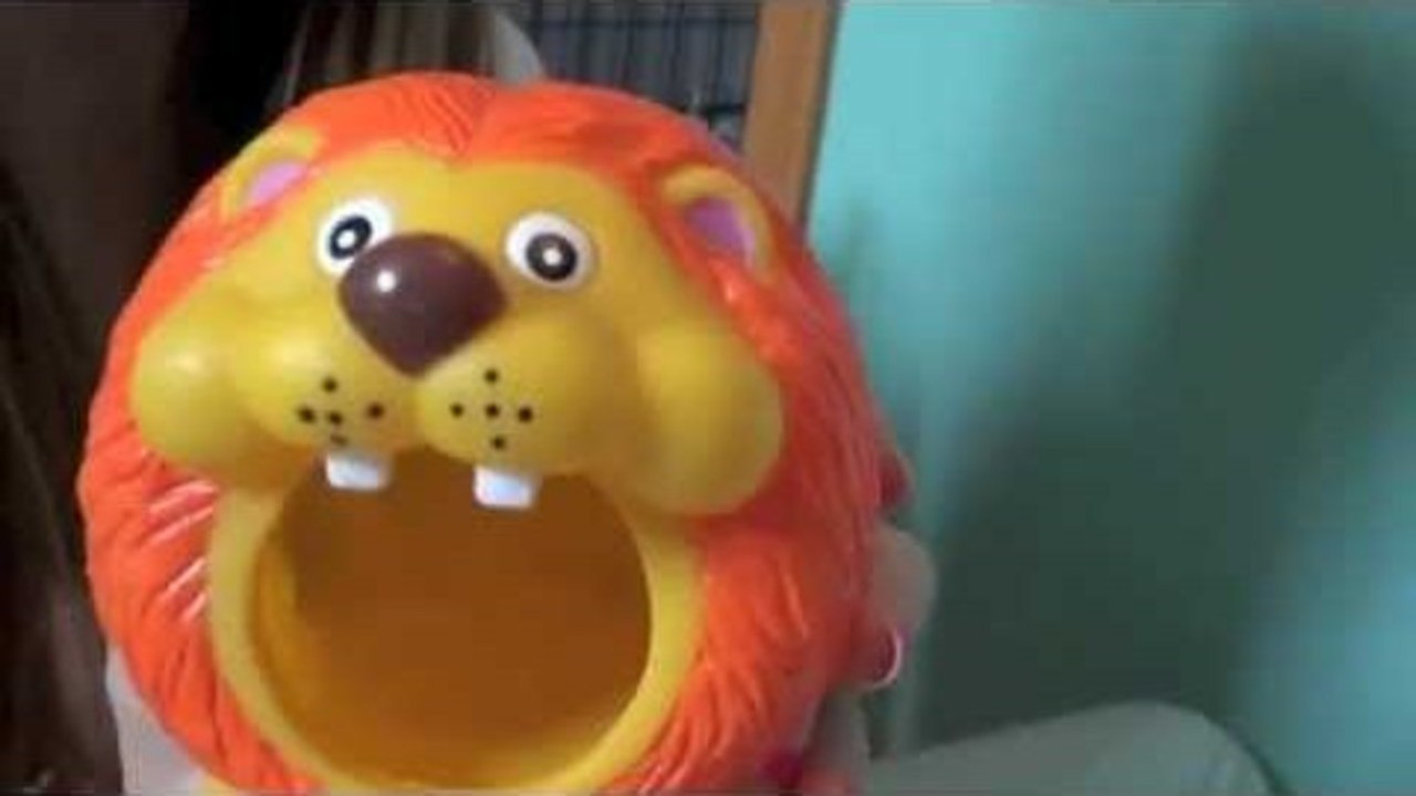 All My hamster Toys | Feb 2013