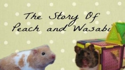 The Story of Peach and Wasabi