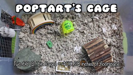 CAGE TOURS | February 2014