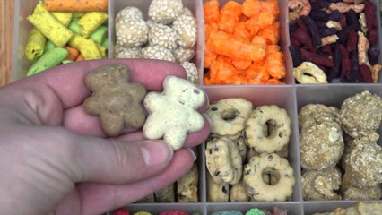 ALL MY HAMSTER TREATS | February 2014