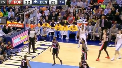 jan vesely feinte
