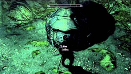 Skyrim DLC: Dawnguard - Shellbug Helmet and Bone Hawk Amulet
