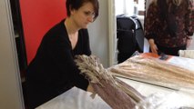 La robe Lavender dress de Gatsby examinée à la loupe au musée des dentelles de Caudry