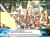 Oficialistas marchan hacia Miraflores para llevar mensaje de paz