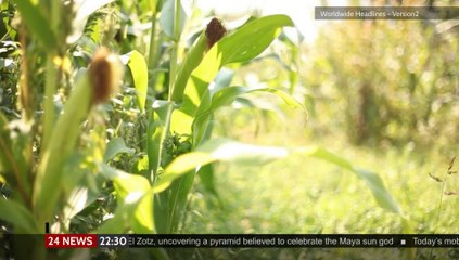 Broadcast Design - News On-Air Package