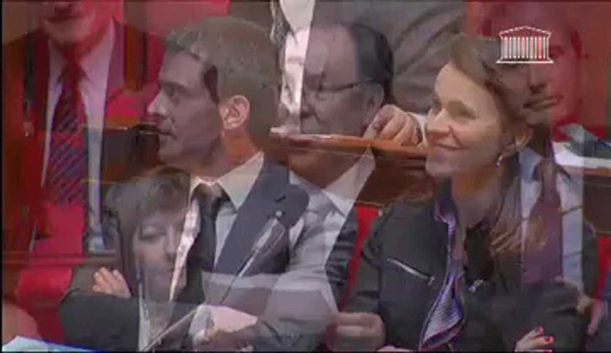 Régulation financière : réponse de Pierre Moscovici à Gérard Terrier lors des QAG [26 février 2014]