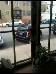 Woman Parking Smart Fail