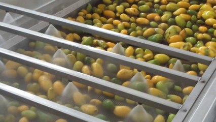 Agro Food Processing Facilities AFP 7 July 2011 Multan Pakistan