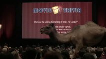 GEICO - Hump Day Camel- Movie Day - YouTube