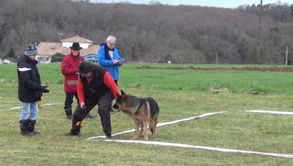 brasero championnat de france cavage 2014