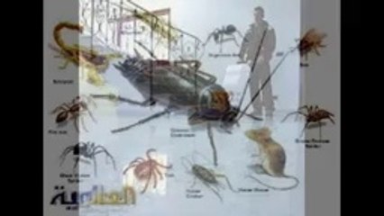 شركة مكافحة الفئران بالرياض 0547334645 !!