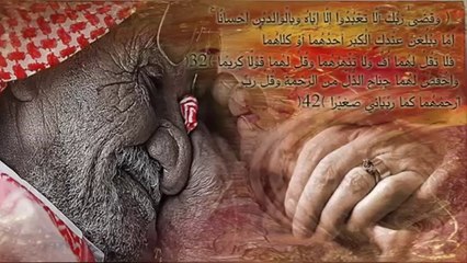 هل تعلم ما كنز الدنيا وسعادة الآخرة - محمد الشينقيطي