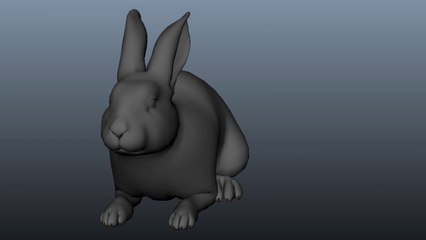 Animation_lapin