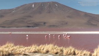 Le Lipez, Route des Joyaux-  Voyage en Bolivie