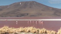 Le Lipez, Route des Joyaux-  Voyage en Bolivie