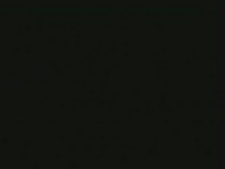 Final Fantasy XII Chocobo