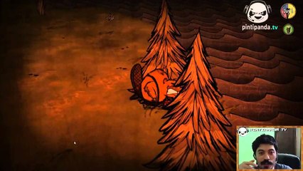 Kunduz Woodieee !! | Don't Starve [CANLI YAYIN]