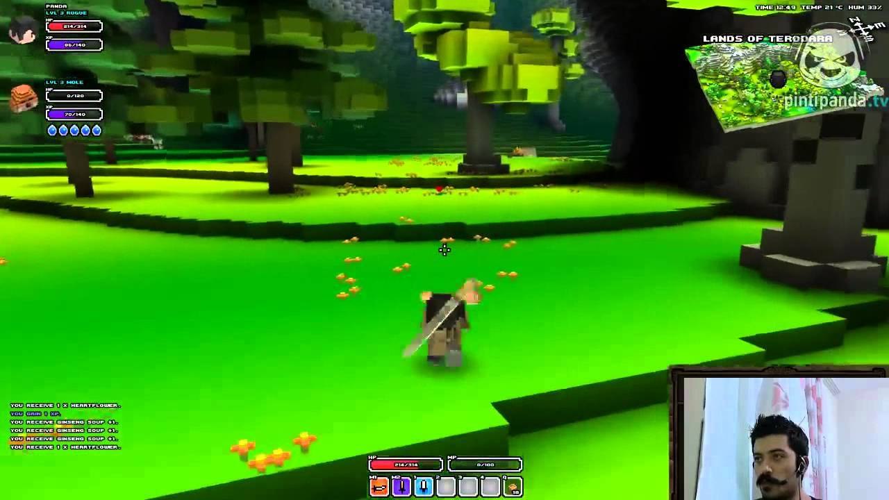 Cube World : Ninjaaaaaaaaa !!!