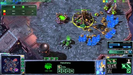 Starcraft 2 Türkçe Anlatım fevax vs Tt.SuGoSu ZvP g2 Delta Quadrant