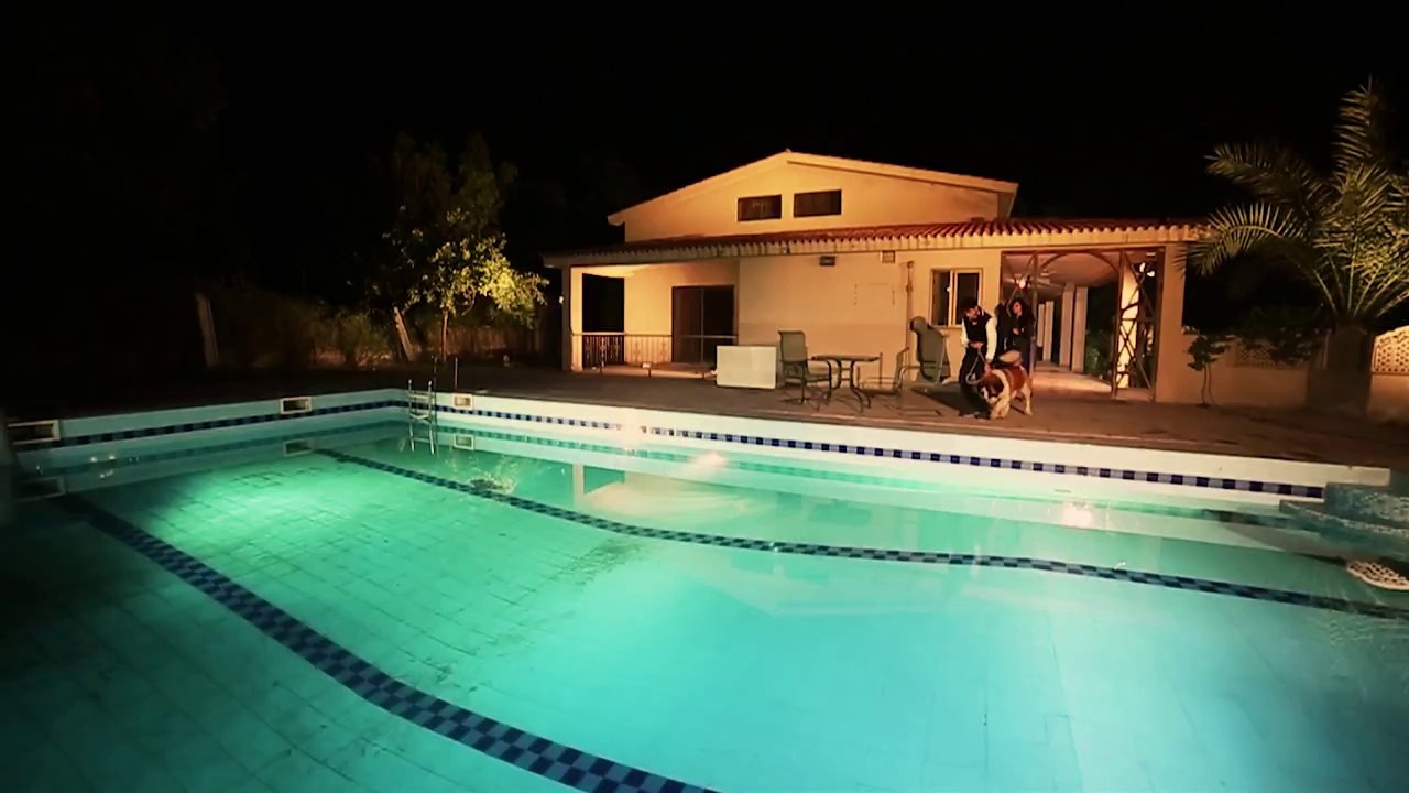 Meharma by Hamza Malik