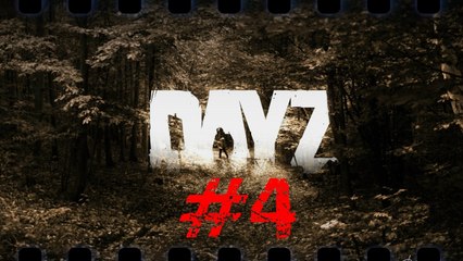 Bu Ne Biçim Hikaye Böyle | DayZ #4
