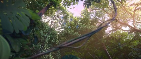 Rio 2 - Pooping your party