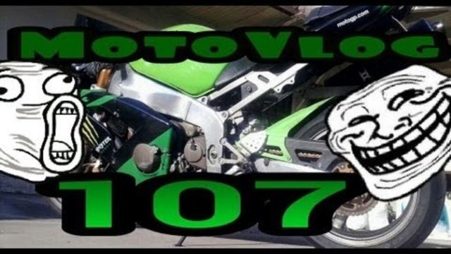 Appropriate Age To Start Riding Motorcycles, Zombie squirrels , And High Speed Lane Splitting