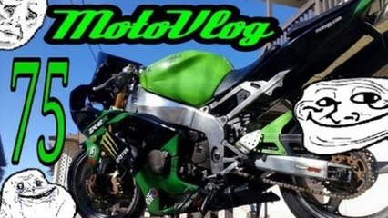 Chased By Dogs AGAIN, Heavy Winds, And New Hilltop Views