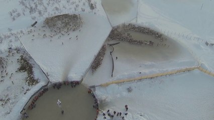 Elevage de rennes vu d'en haut : époustouflant!