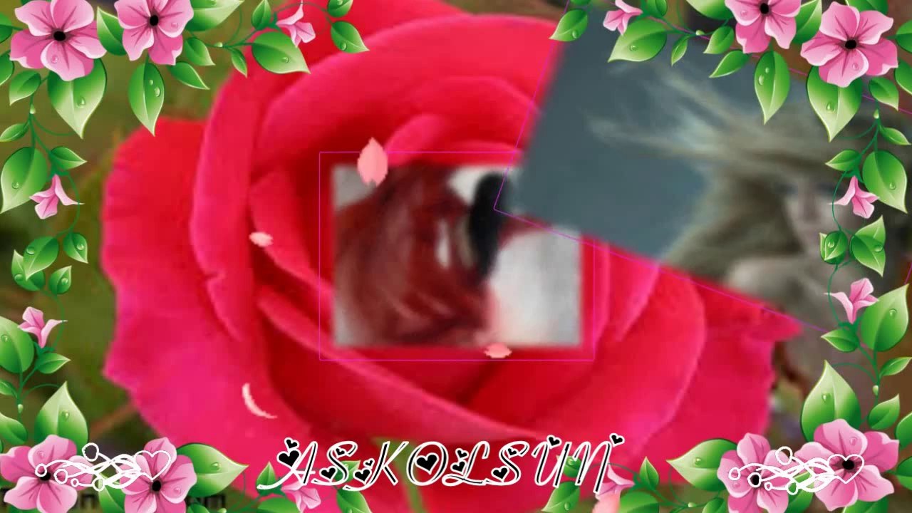 Davut Güloğlu - Yalan Mı