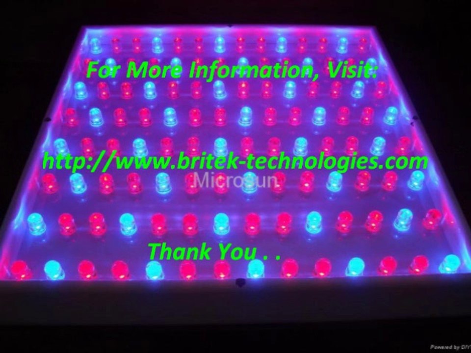 LED Down Lights