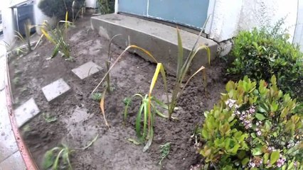 Relaxing rainy piano music