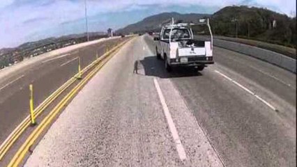 ZX-6R Lane splitting through beautiful California