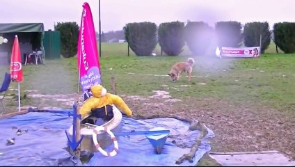 FX, berger picard, Prunay 2014